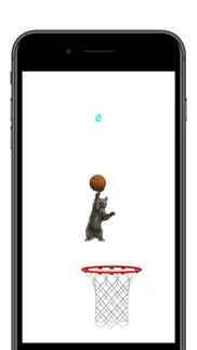cat sports iphone screenshot 3