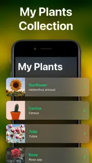 plantai - plant identifier problems & solutions and troubleshooting guide - 1