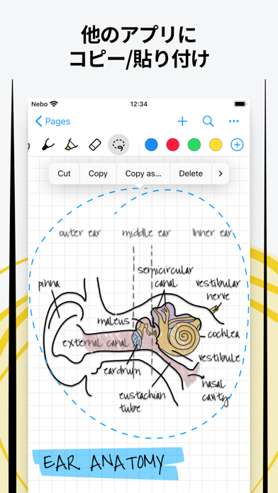 Nebo: メモ & PDF 注釈のおすすめ画像5