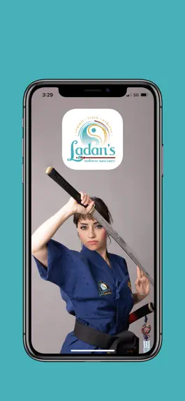 Game screenshot Grandmaster Ladan's mod apk