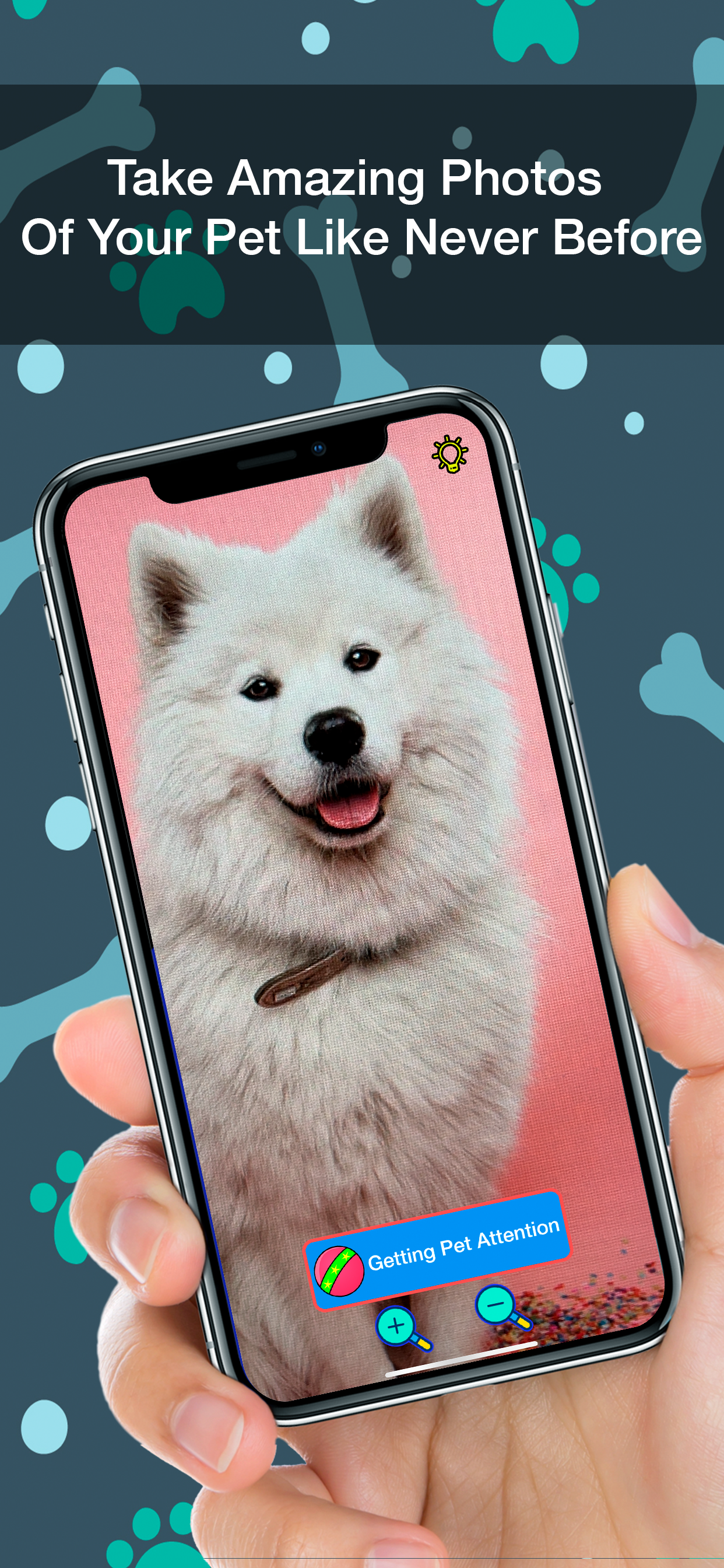 Hey Buddy! Pet Picture Taker