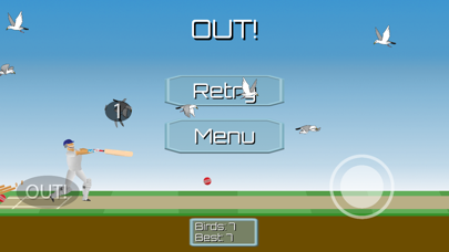 CricketMayhem: 2D Cricket Game Screenshot
