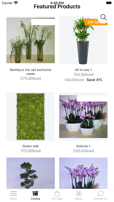 Banflowers and more Screenshot