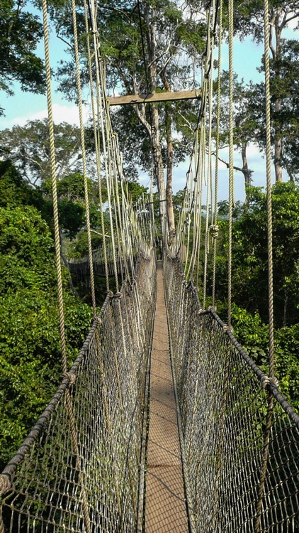 Ghana Wallpapers screenshot-8