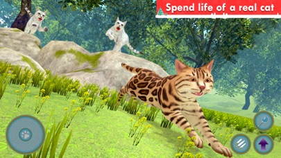 Kitty Cat Simulator Screenshot