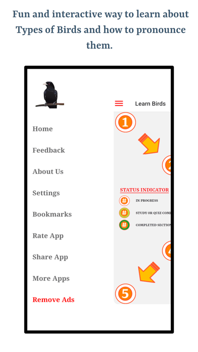 Types Of Birds Screenshot
