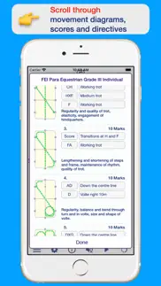 fei para dressage problems & solutions and troubleshooting guide - 2