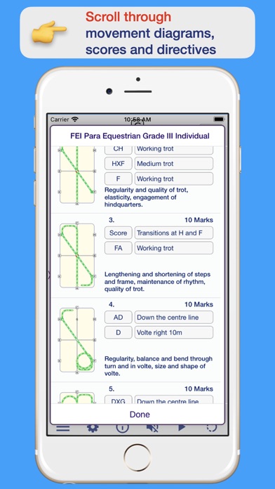 FEI Para Dressage Screenshot