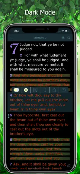 Game screenshot King James Bible with Audio hack