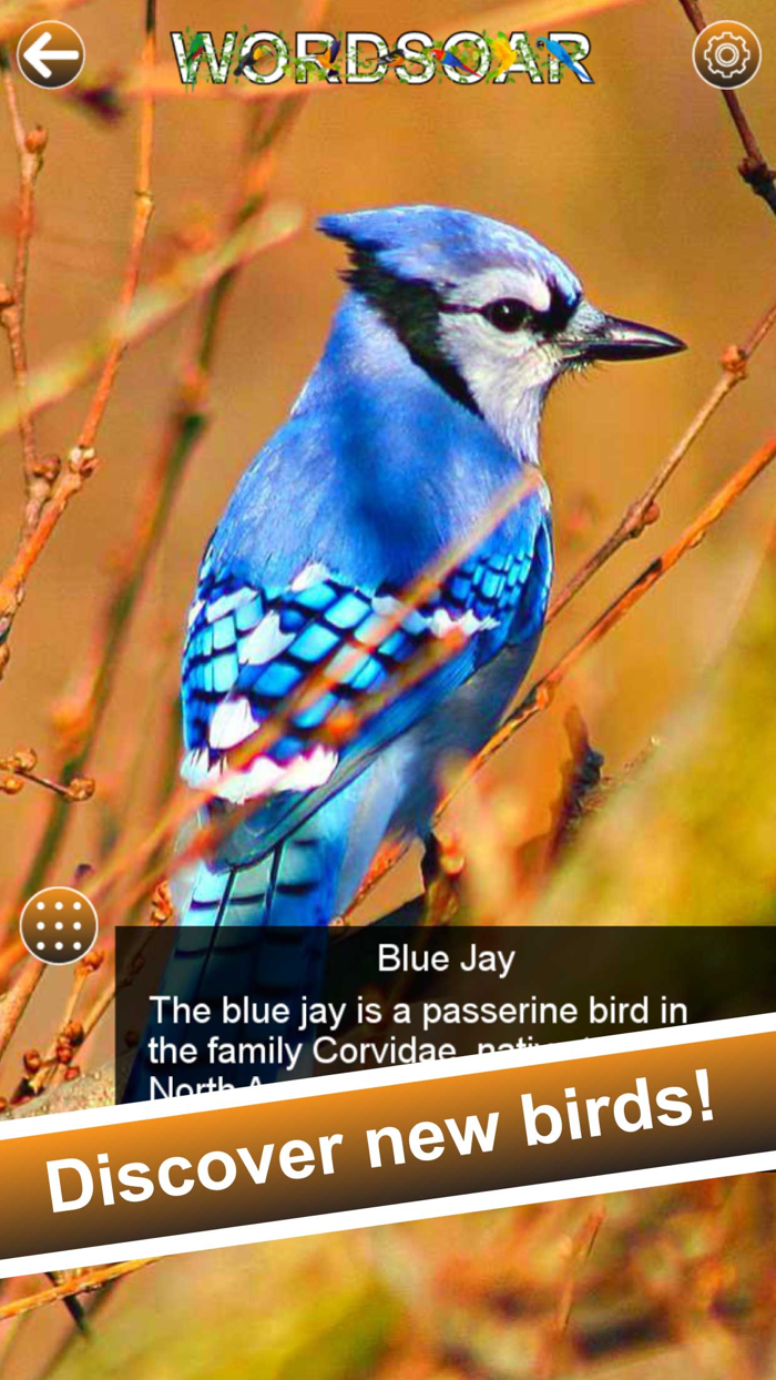 Word Soar - Fun Puzzle Game