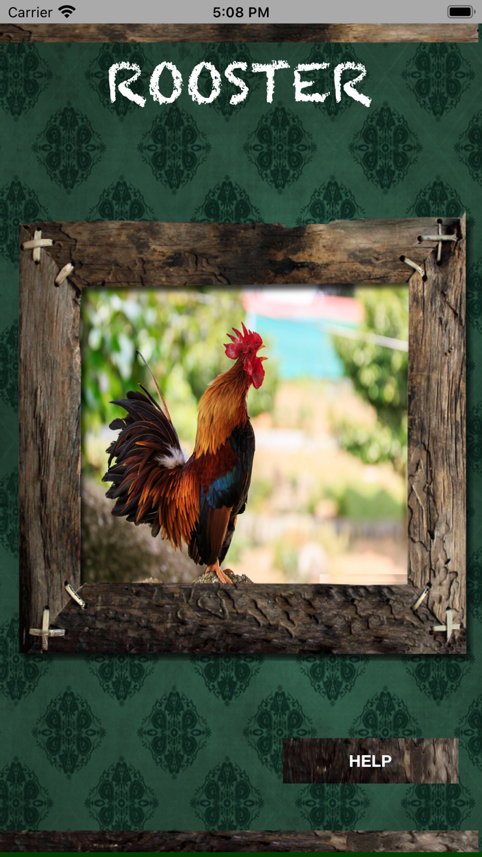 Farm Animal Sounds Learning