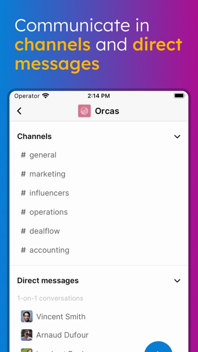 Roger: Collaborate with anyone Screenshot