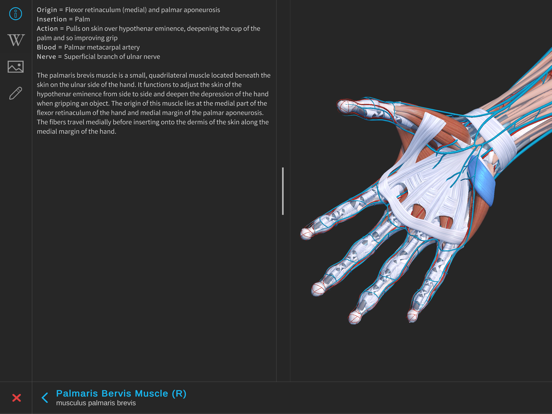 Screenshot #6 pour Visual Anatomy 3D - Human