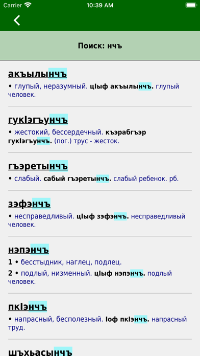 Adyghe Dictionary Screenshot