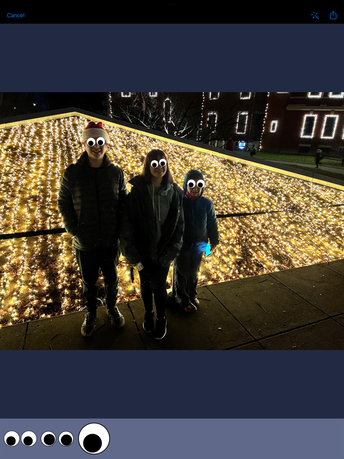 Googly Eyes - Photos and Camera