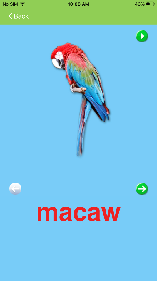 #6. KnowleKids Flashcards (iOS) โดย: KnowleMedia