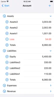 double-entry bookkeeping iphone screenshot 2