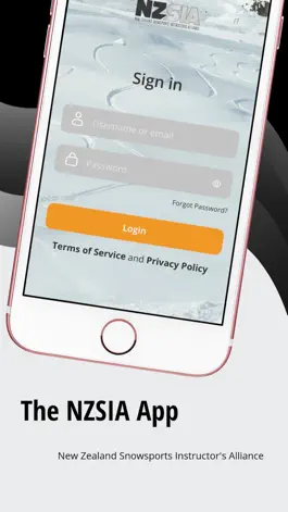 Game screenshot NZSIA mod apk