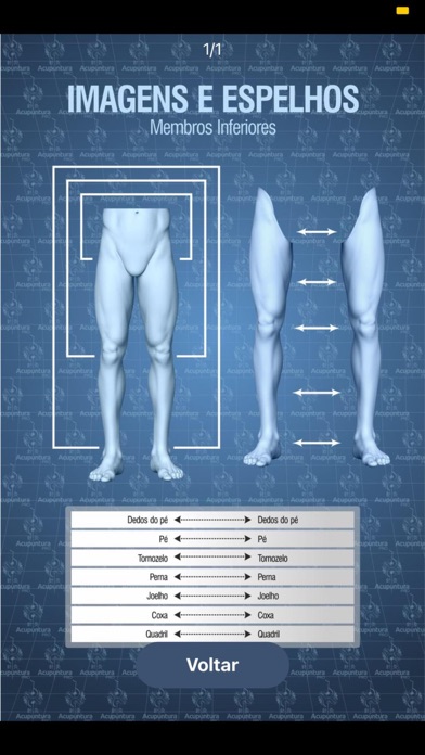 Acupuntura Proのおすすめ画像7