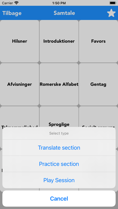 Danish to English Translate Screenshot