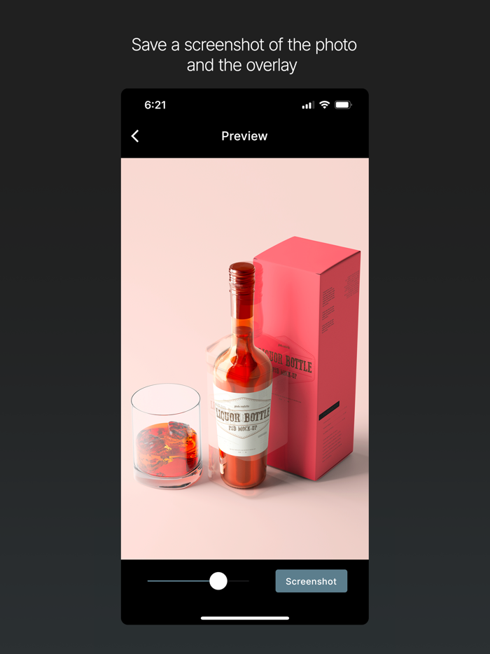 Camera Overlay for Business