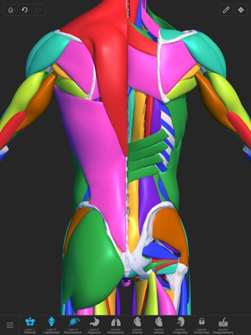 Visual Anatomy 3D - Humanのおすすめ画像8