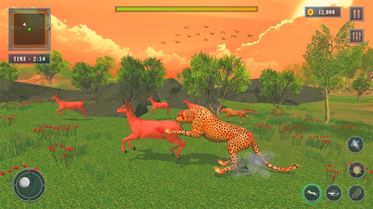 Wild Cheetah Simulator 3D