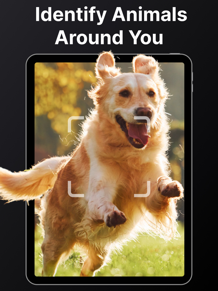 All Identifier - AI Picture ID