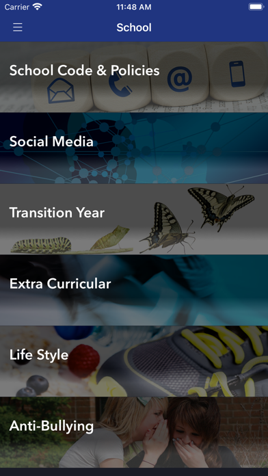 St. Bricin's College Screenshot