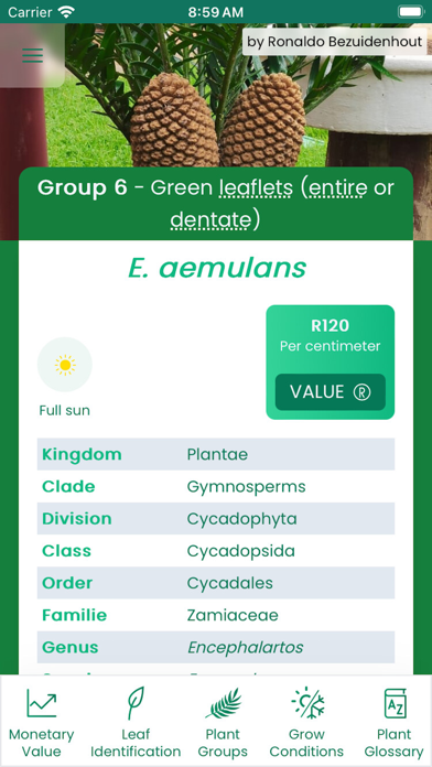 Cycad Identification of SA Screenshot