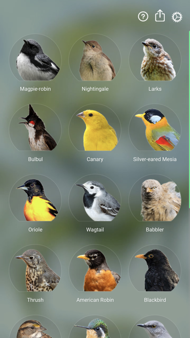 Bird Sounds Relax Screenshot