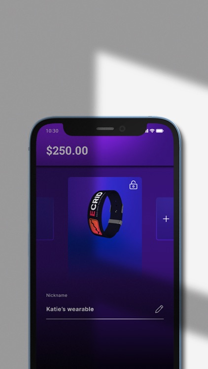 ECRID pay screenshot-3