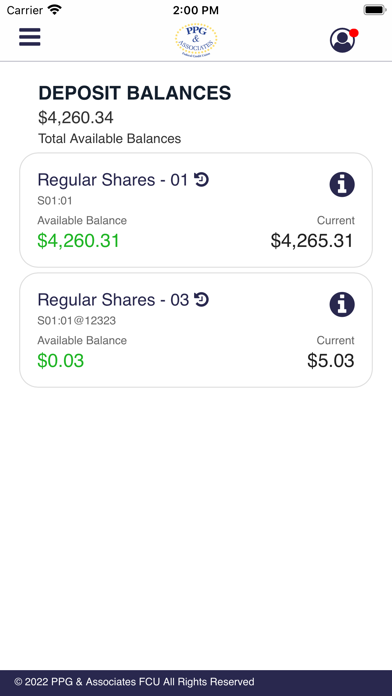 PPG Federal Credit Union Screenshot