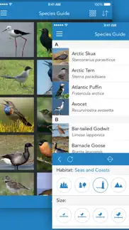 iknow birds 2 pro - europe iphone screenshot 3