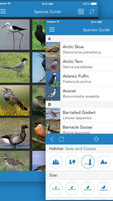 iKnow Birds 2 PRO - Europe Screenshot