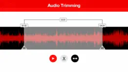 How to cancel & delete voice recorder - audio record 4