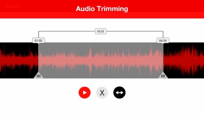 Voice Recorder - Audio Record Screenshot