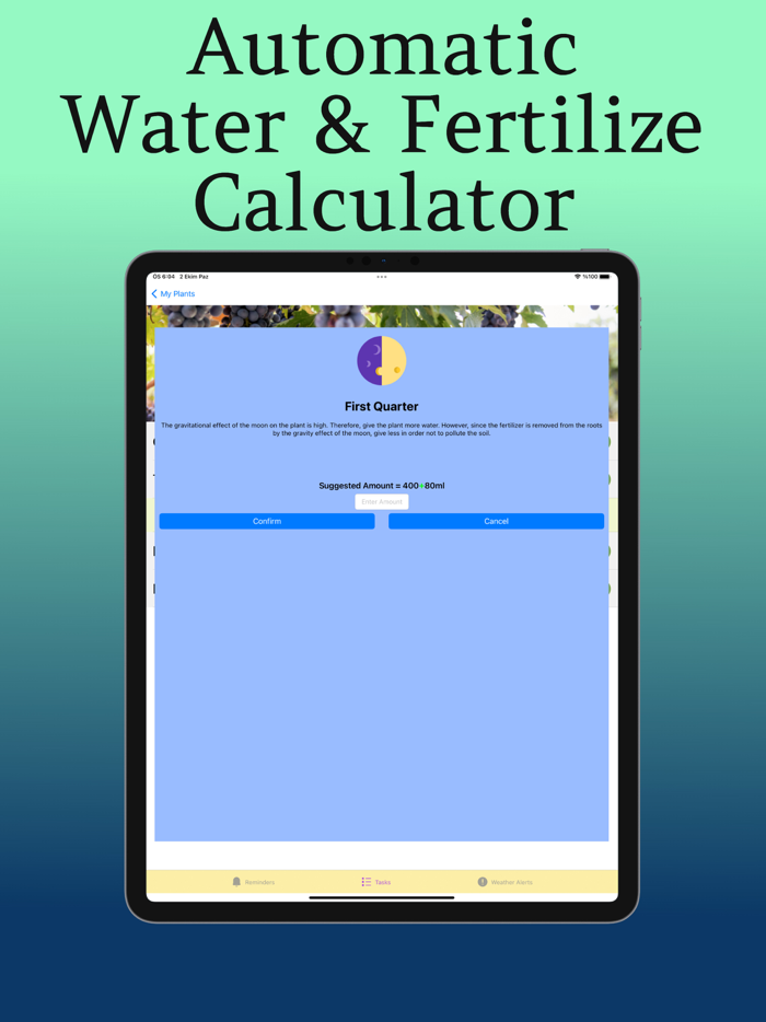 Plant Care Guide and Tips