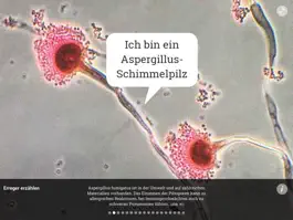 Game screenshot MenschMikrobe apk