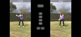 Game screenshot Practice/Swing hack