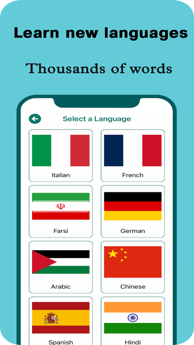 Language Word Game Screenshot