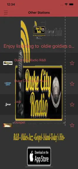 Game screenshot DUKE CITY RADIO mod apk
