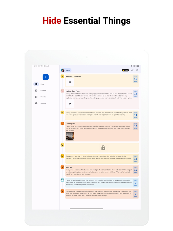 Diary with Lock Daily Journal