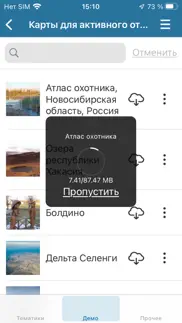 cogis mobile айфон картинки 2