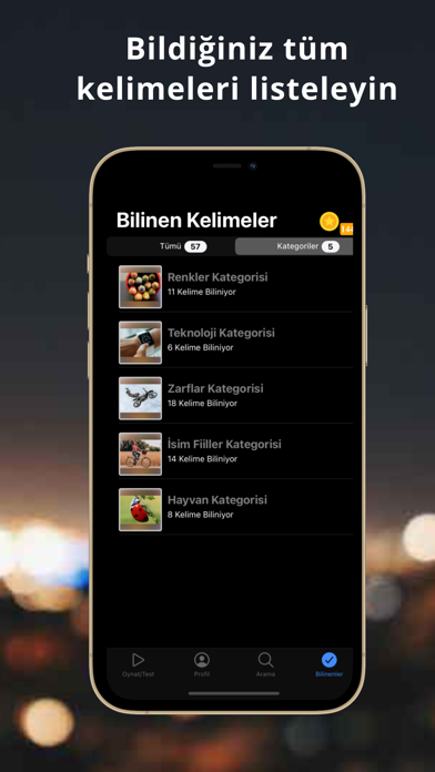 Playword YDS YDT İngilizce Screenshot