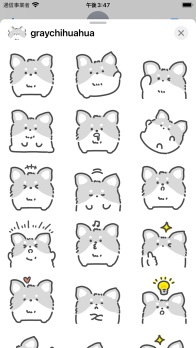 gray chihuahua sticker Screenshot