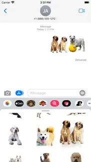 dog photo sticker problems & solutions and troubleshooting guide - 3
