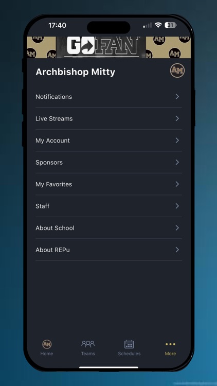 AMHS Athletics screenshot-5