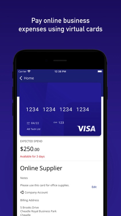 Visa Commercial Pay
