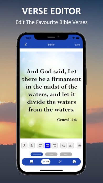 Message Bible MSG (Audio) Screenshot